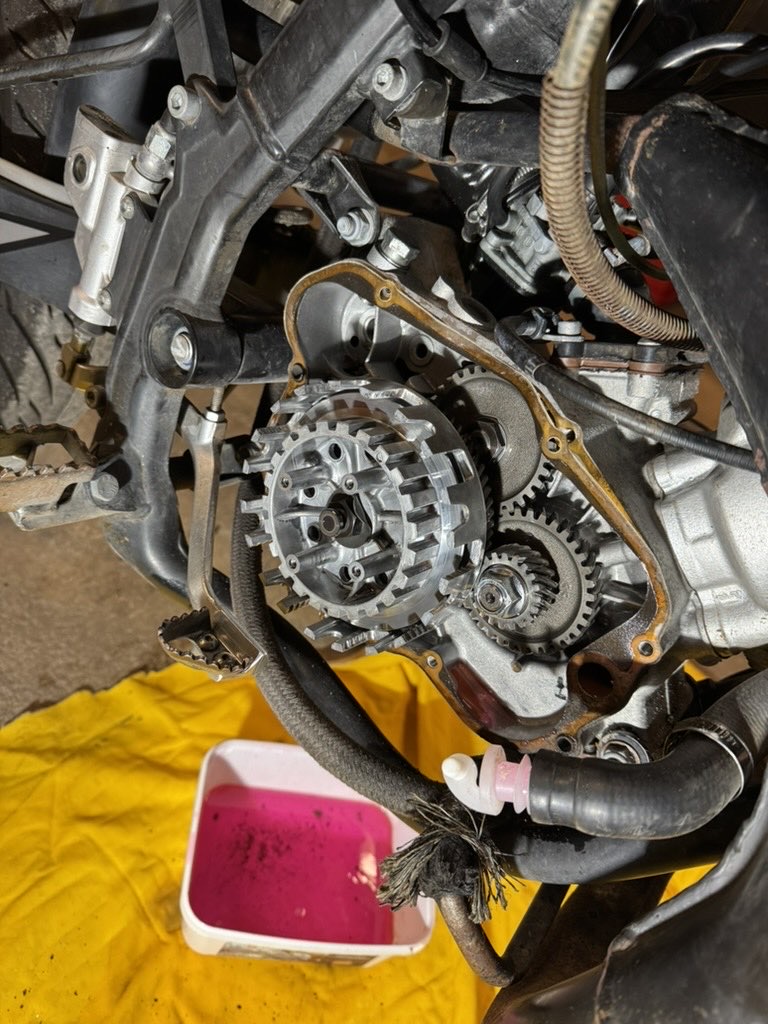 Motor