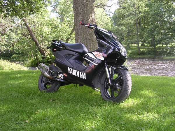 blinkersrela_kravs_600