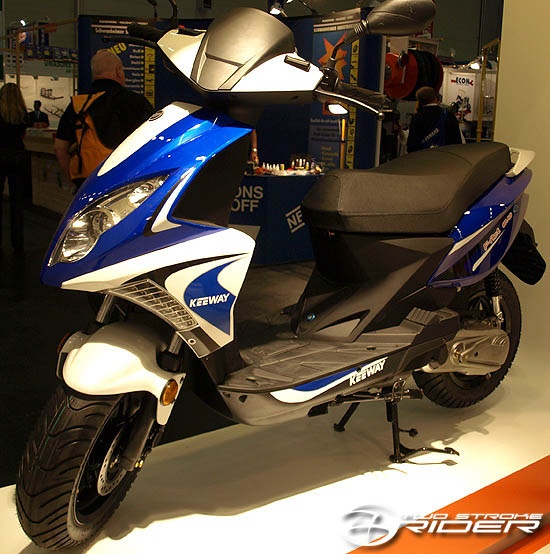 factevoblue_554